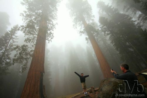 Sequoia National Park, California, USA. April 2nd 2013 (10mm, 1/60sec, f/5.6, iso100)